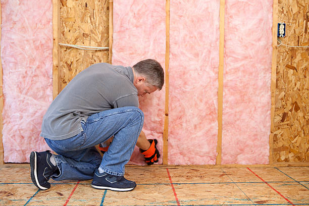 Best Eco-Friendly Insulation in Butler, IN